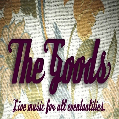 The Goods Band image